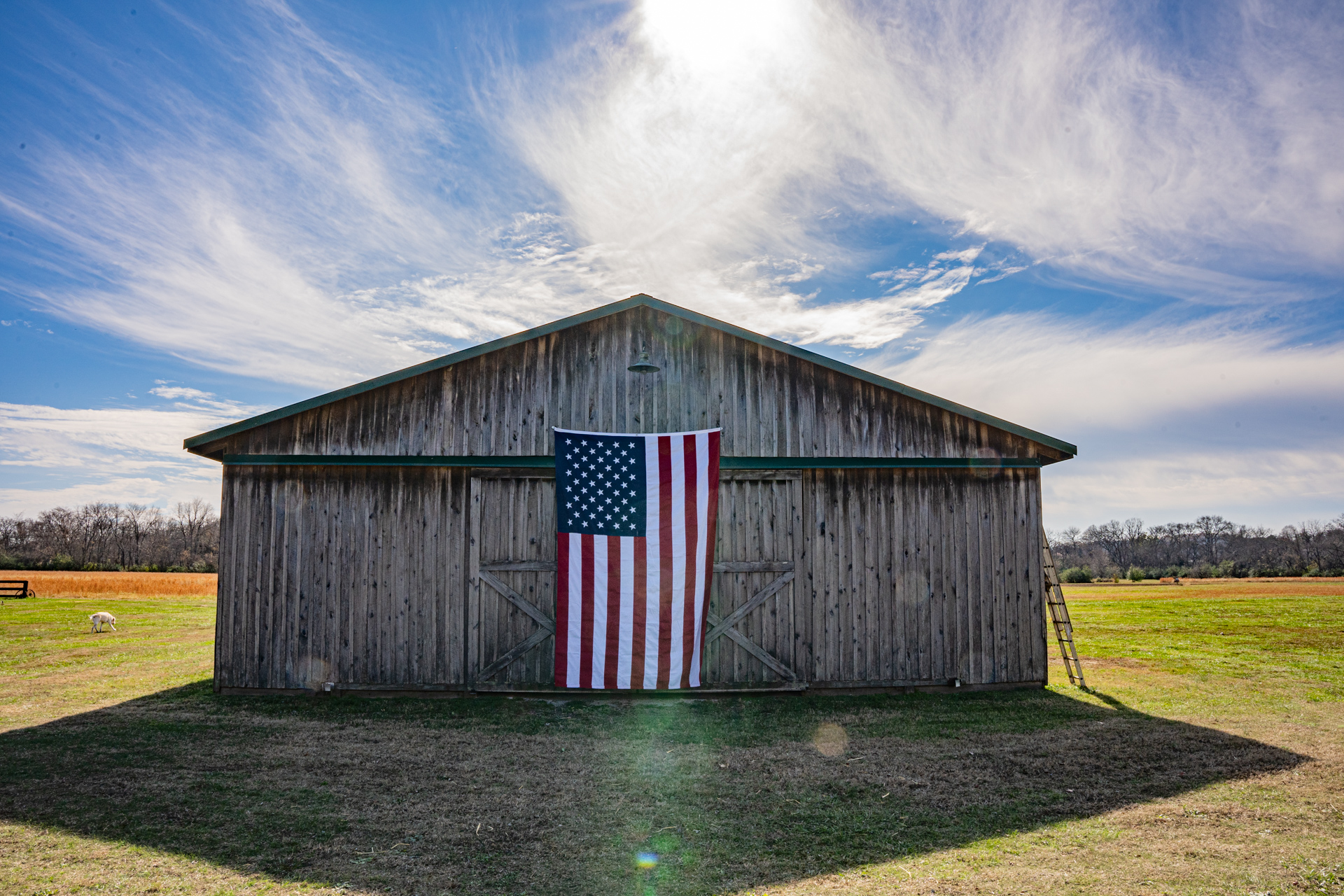 Preserving American Values: Old Guard Pet Company’s Commitment to Tradition and Patriotism