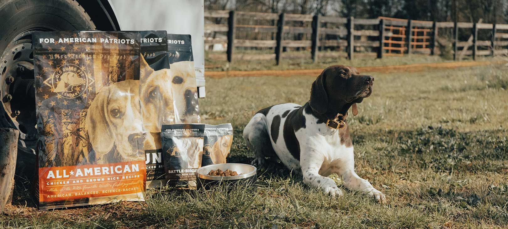 How Old Guard Boosts Your Dog’s Immune System